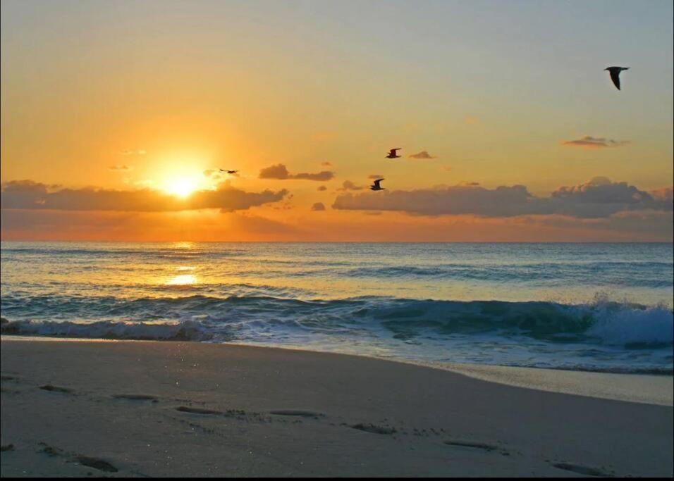 Amazing Beachfront Apartment Cancún Exteriör bild